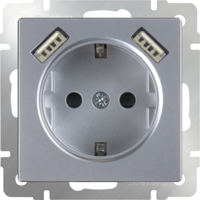 WL06-SKGS-USBx2-IP20 / Розетка с заземлением, шторками и USBх2 (серебряный)