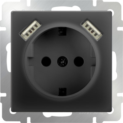 WL08-SKGS-USBx2-IP20 / Розетка с заземлением, шторками и USBх2 (черный матовый)